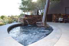 Freeform Pool & Spa with Bubblers