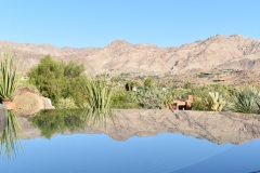 Luxury Pool & Spa with Landscape